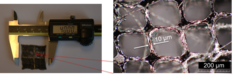 3D-gedruckte Brennstoffzellenelektrode. Linkes Bild: Übersichtsaufnahme der Elektrode in quadratischer Form, Größe ca. 40 Millimeter, rechtes Bild: Rasterelektronenmikroskopische Aufnahme, welche die Gitterstruktur der gedruckten Zellen mit einer Wandstärke von 10 Mykrometern zeigt.